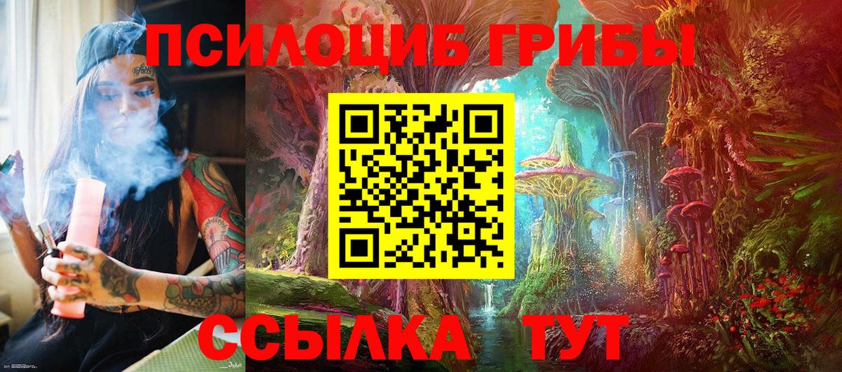 Галлюциногенные грибы Psilocybe  Галлюциногенные грибы MAGIC MUSHROOMS  Вход с VPN  Кимры 