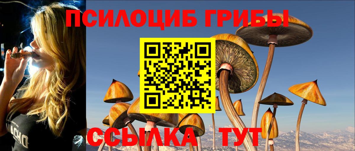 Галлюциногенные грибы прущие грибы Кимры